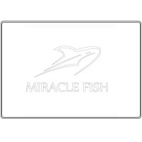 MIRACLE FISH