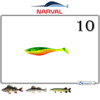 COMMANDER SHAD 10