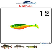 COMMANDER SHAD 12