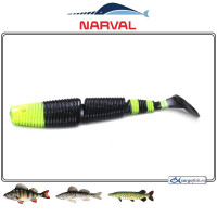 COMPLEX SHAD