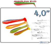 AWARUNA EVO 4,0