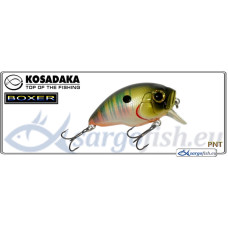 Lure KOSADAKA Boxer XS 40F - PNT