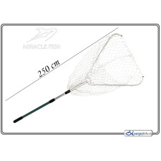 Perceived bag MIRACLE FISH - 250x60