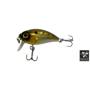 Lure KOSADAKA Roger SURF 36F - GTR